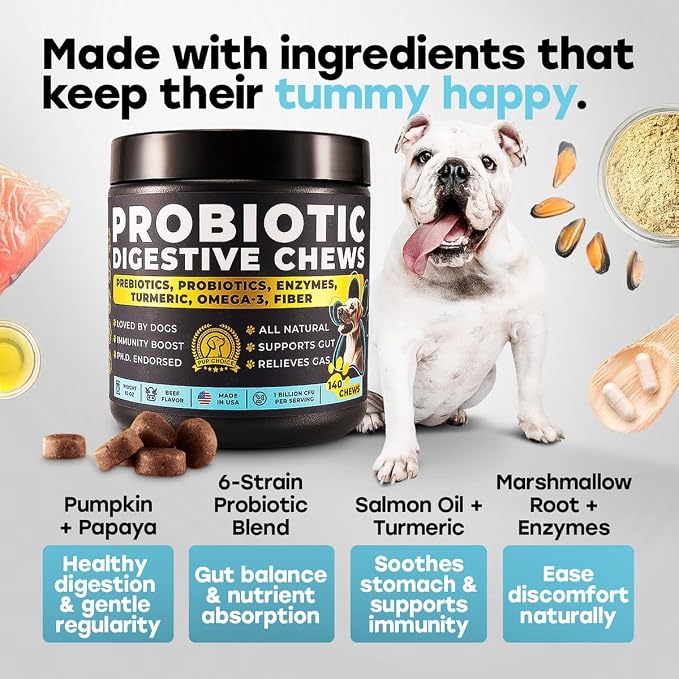 Probiotics for Dogs - Digestion, Gut Health & Firmer Stool