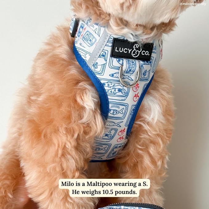 Lucy & Co. Tinned Fish No-Pull Dog Harness, Adjustable Front Clip Harness with Comfort Padding, Small