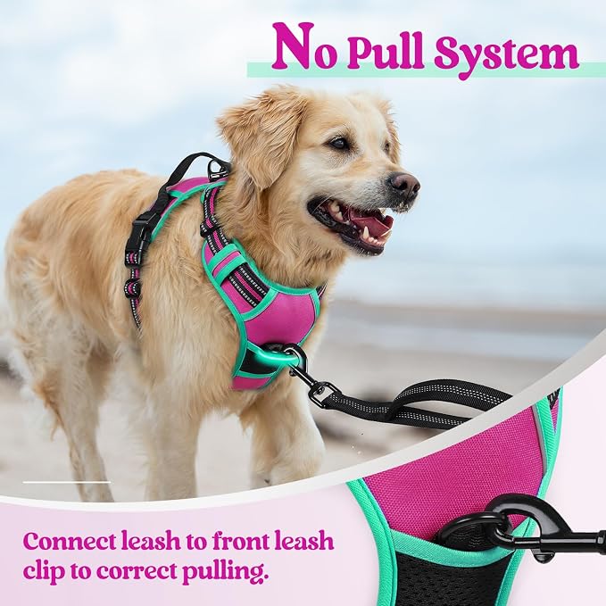 rabbitgoo Dog Harness, No Pull for Large Dogs with 2 Leash Clips, Pet Vest | No Choke with Handle, Adjustable Soft Padded, Reflective, Easy Control for Walking, Hot Pink & Turquoise, Large