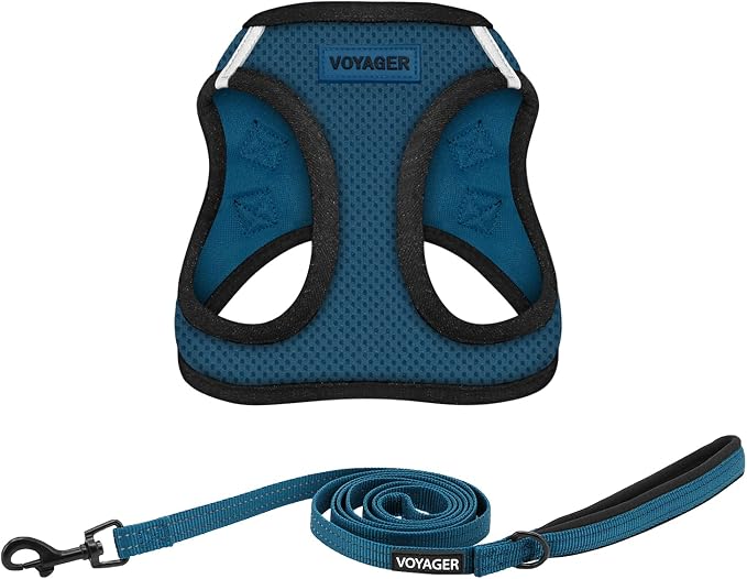 Voyager Step-in Air All Weather Mesh Harness and Reflective Dog 5 ft Leash Combo with Neoprene Handle, for Small, Medium and Large Breed Puppies by Best Pet Supplies - Blue, Large