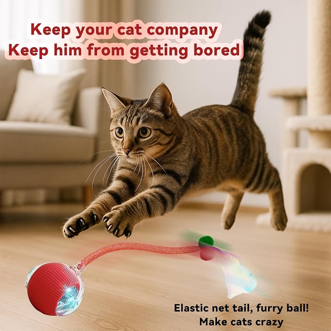 Speedy 2.0 Tail Interactive Cat Toys for Indoor Cats, Automatic Cat Toy with Elastic Mesh Tail, Electric Rolling Ball on Carpet, Chirping and Motion Activate Cat(Grey)