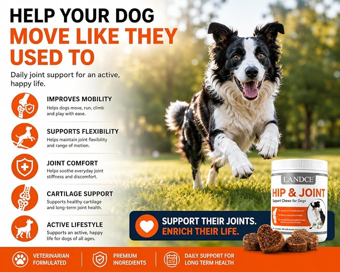 Hip and Joint Supplement for Dogs Glucosamine Chondroitin MSM Chews