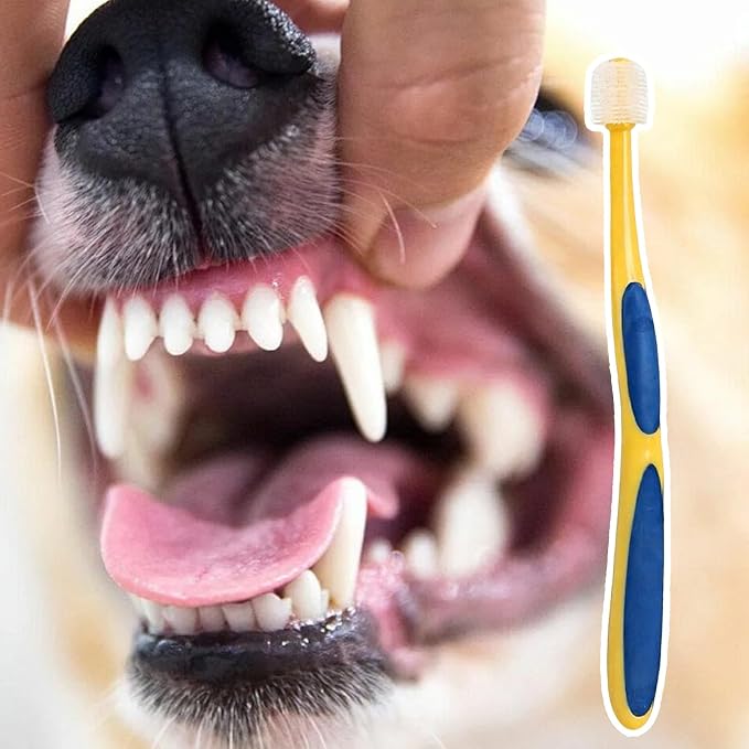 Toothbrush for Dogs | Dog Toothbrush - Teeth Grooming Tool for Hygiene Health Bad Breath Puppy Kitten Senior Small Large Breed Pet