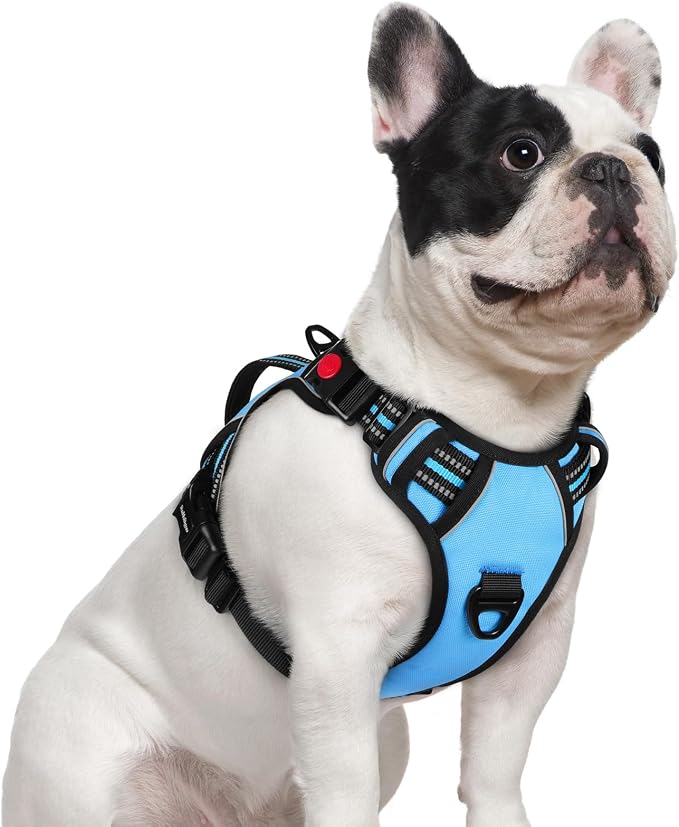 rabbitgoo Large Dog Harness, Easy Wear with 3 Buckles and Lift Handle | No Pull with Front Clip for Walking, Adjustable Soft Padded, Reflective, Easy Control, Light Blue, Small