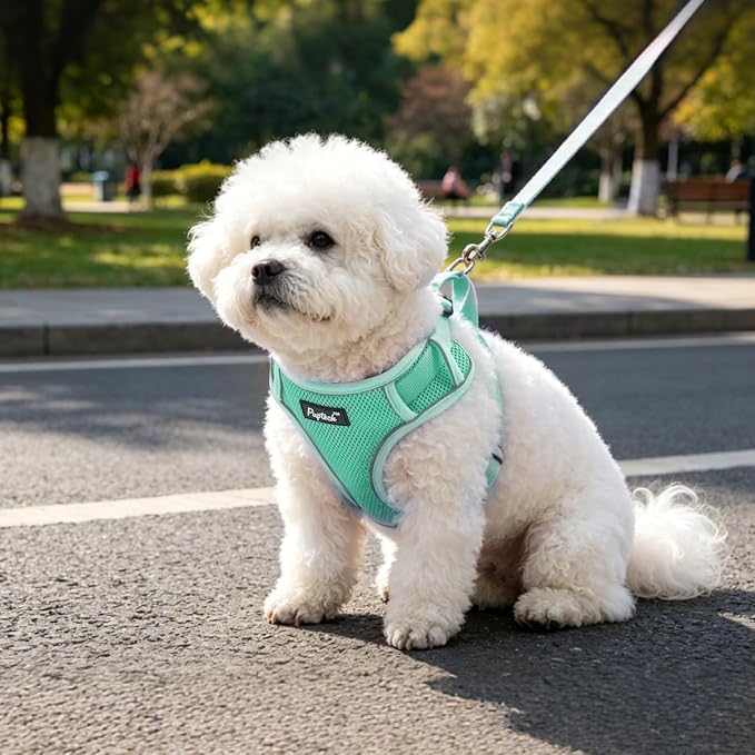 PUPTECK Dog Harness and Leash Set, No Pull Adjustable Pet Small Dog Harness, Reflective Soft Mesh Pet Vest, for Small Medium Dogs Walking, Green, M