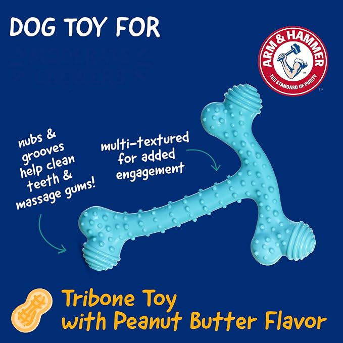 Arm & Hammer Nubbies T-Bone Dental Dog Chew Toy, Peanut Butter Flavor | Durable nylon and TPR nubs clean teeth and gums, built for aggressive chewers