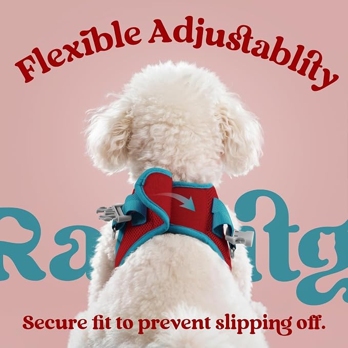 rabbitgoo Dog Harness Small Sized and Leash Set, Step in Soft Vest | Breathable Mesh, Easy Wear with Hook & Loop, Light and Reflective for Walking, Multi-colored, Red & Teal, L