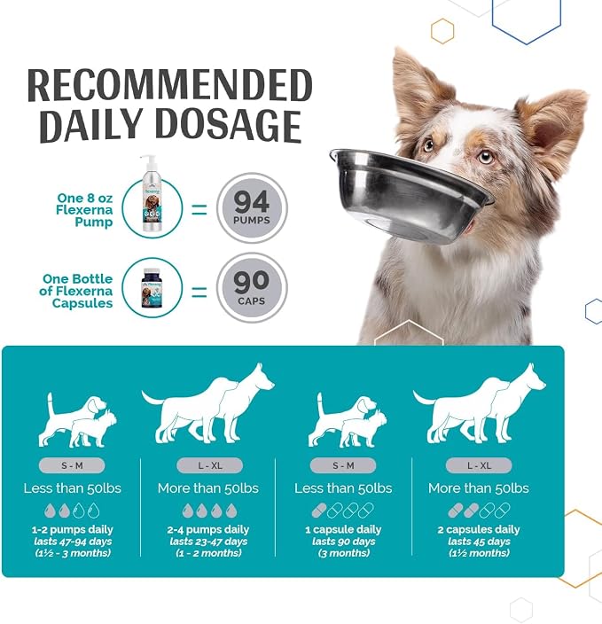for Dogs - Vet-Formulated Joint Supplement with Green Lipped Mussel, Omega 3s & Hyaluronic Acid for Hip, Joint & Mobility Support - 90 Soft Gel Capsules