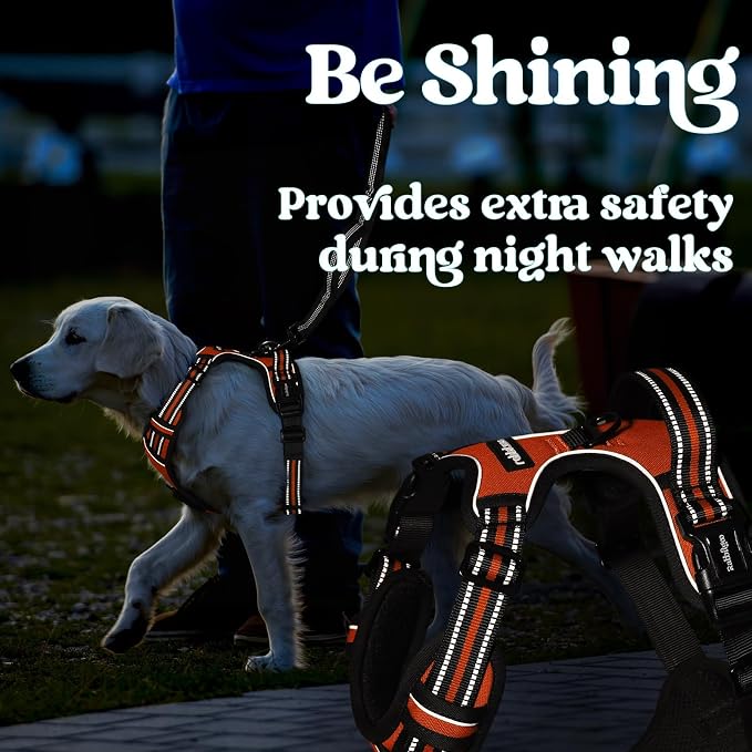 rabbitgoo Dog Harness Medium Sized, Updated Easy On & Off with 3 Buckles | No Pull No Choke, Walking with 2 Clips and Handle, Adjustable Soft Reflective, Orange, Medium