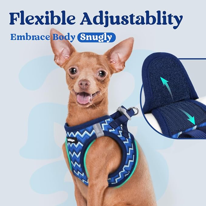 rabbitgoo Step-in Small Dog Harness, Puppy Vest for Small Sized Pet | Easy Put on and off, Lightweight, Soft, Breathable Quick-Dry Air Mesh for Comfortable Secure Walking, Blue Zigzag S