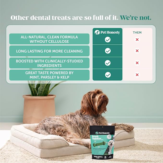 Pet Honesty Brush Buddies All Natural Dog Dental Treats for Dogs – Long Lasting Dental Sticks for Dogs, Teeth Cleaner, Breath Freshener, Plaque & Tartar Remover – Extra Small Dogs (40 Count)