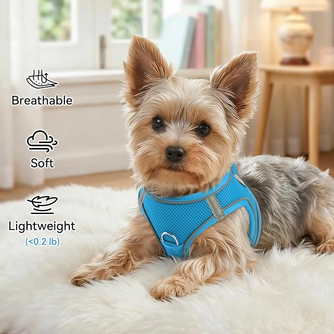 Joytale Step-in Dog Harness, Soft Breathable Mesh, Sky Blue XXXS | Adjustable Fit for Small Dogs, Easy Step-in with Secure Fastener, Even Chest Pressure, Reflective For Night Safety, Washable