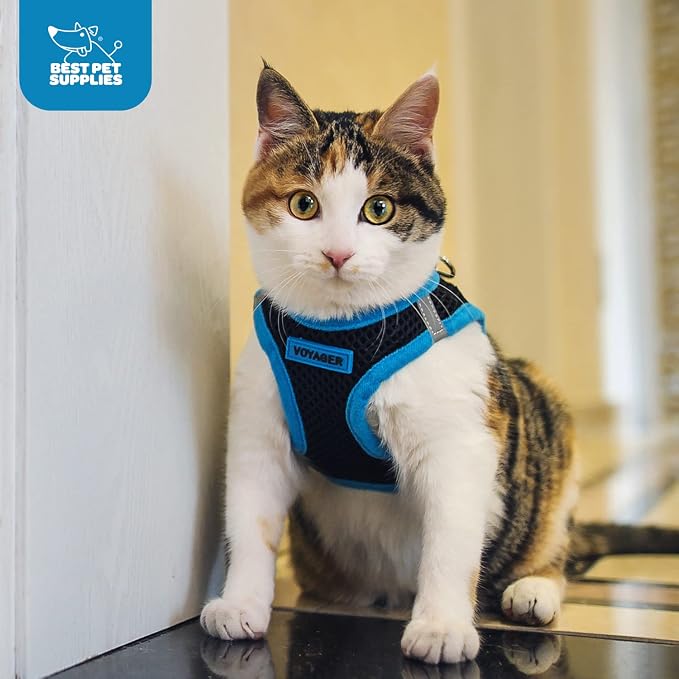 Voyager Step-in Air Dog Vest Harness - Blue, XXX-Small | 11 - 12" in Chest, Reflective Bands, All Weather Breathable Air Mesh, Cats Compatible, Lightweight, Fast Drying