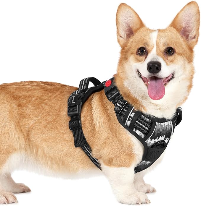 rabbitgoo Dog Harness Small Sized, Updated Easy On & Off with 3 Buckles | No Pull No Choke, Walking with 2 Clips and Handle, Adjustable Soft Reflective, Mountain Black, Small