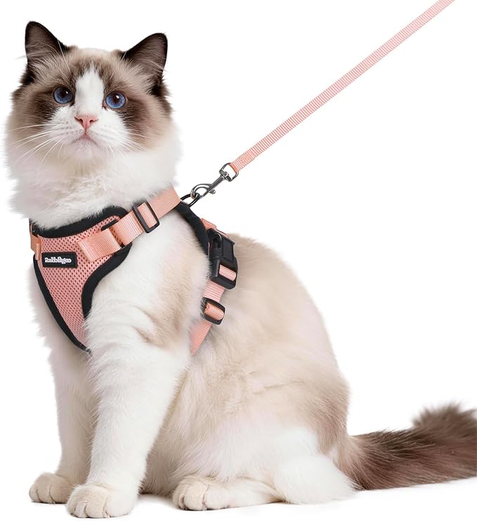 rabbitgoo Cat Harness and Leash Set, Escape Proof Vest, Light Salmon Pink | Soft Breathable Mesh, Easy Adjustable Fit, Snap Buckles, Sturdy Clip, Reflective Strips, for Medium to Large Cats Walks, M
