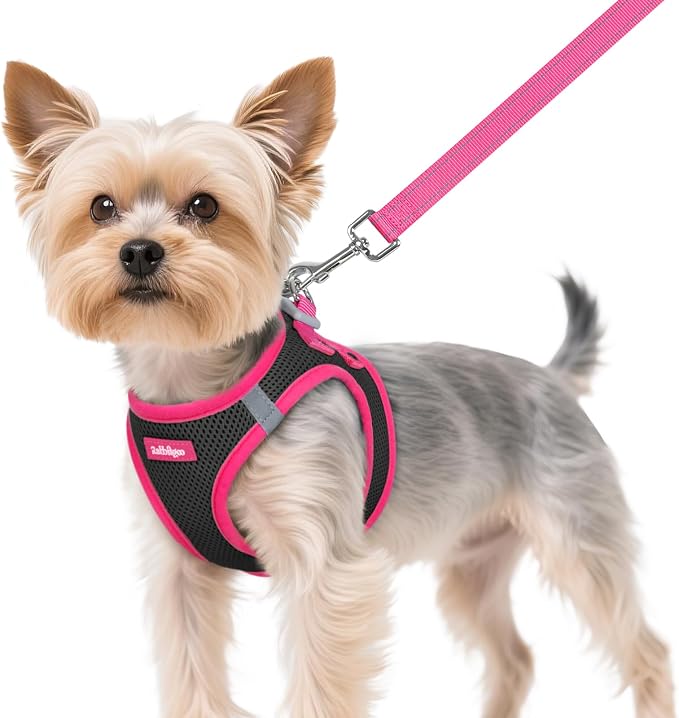 rabbitgoo Dog Harness Small Sized and Leash Set, Step in Soft Vest | Breathable Mesh, Easy Wear with Hook & Loop, Light and Reflective for Walking, Multi-colored, Black & Rose Red, XS