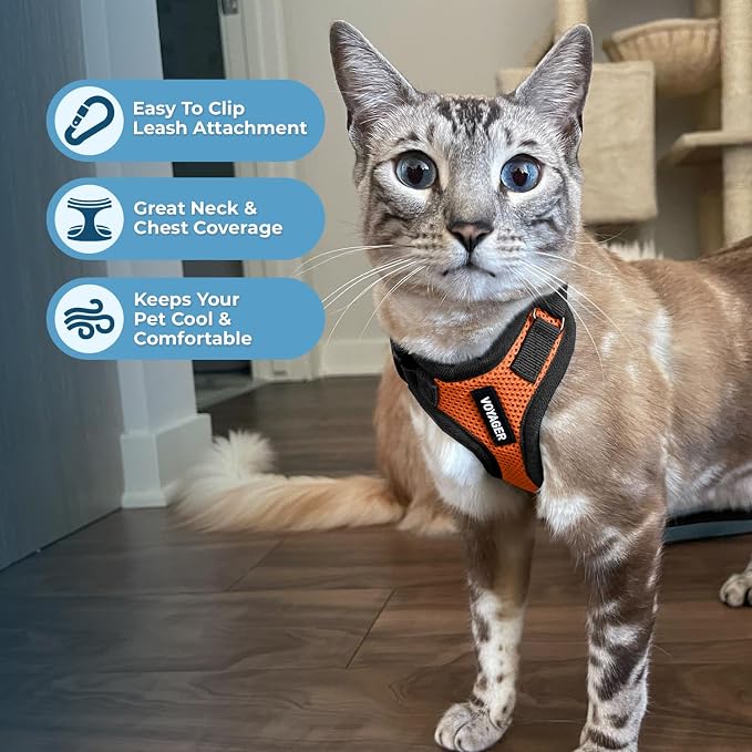 Voyager Escape-Proof Step-in Lock Cat Harness & 5ft Neoprene-Handle Leash Set All-Weather Mesh with Reflective Stitching for Small to Large Cats by Best Pet Supplies, Orange/Black Trim, S