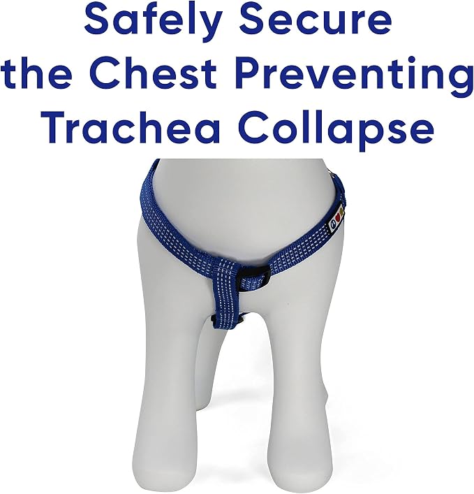 Pawtitas Value Bundle Set | Small Reflective Dog Harness + Small Reflective Dog Collar + Extra Small/Small Reflective Dog Leash – Blue Set