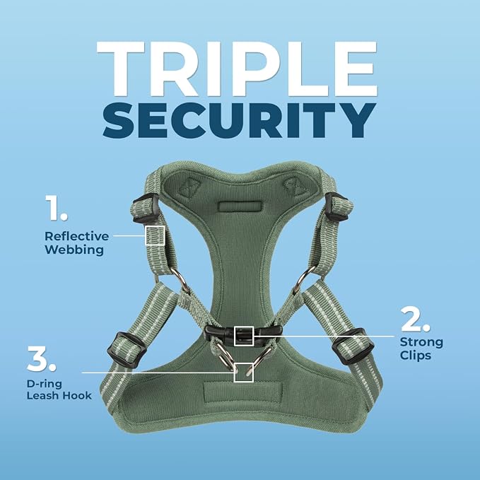 Best Pet Supplies Voyager Adjustable Step-in Flex Breathable Mesh Dog Harness for Small Medium Large Dogs Leash Set (Moss Green), M