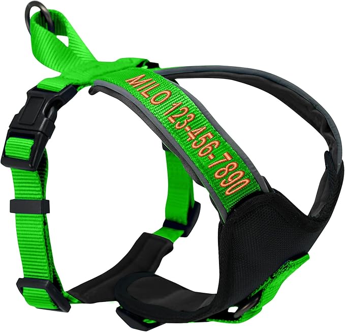 Pawtitas Reflective Padded Dog Harness for Medium Dogs – Adjustable Step-in Vest | Fits Chest 22–28 in | No Pull Personalized Training Harness | M | Green