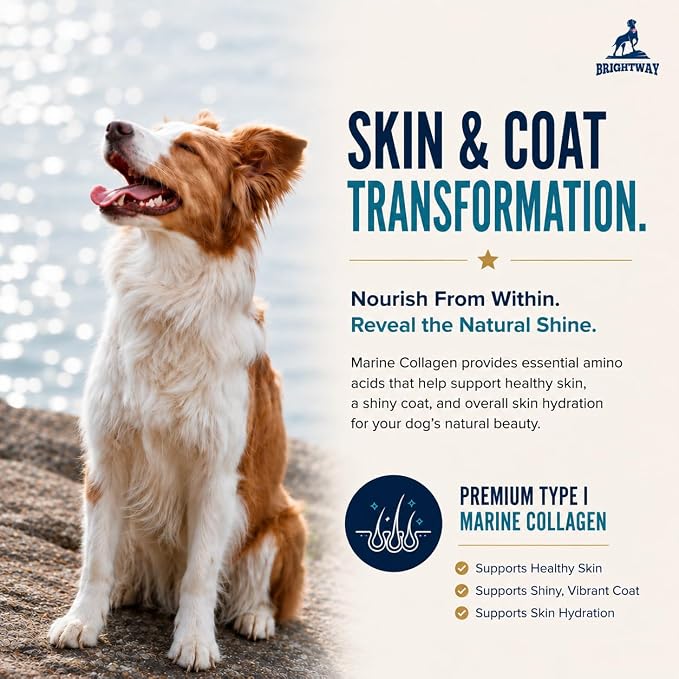 Wild Caught Marine Pet Collagen for Dogs, Peptide for Dogs - Improves Gut, Skin & Coat Health, Allergies, Pet Mobility Hip & Joint Supplement Health