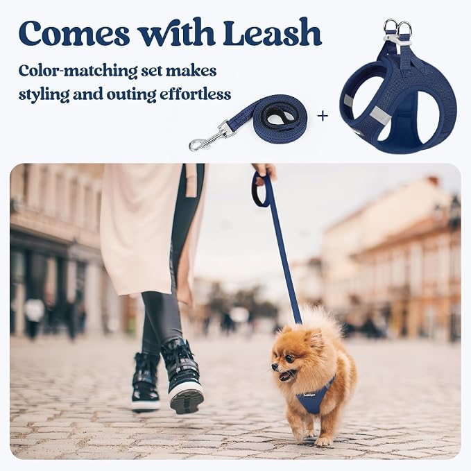 rabbitgoo Dog Harness Medium Sized and Leash Set, Step-in Puppy Pet Vest | Light, Soft, Breathable Air Mesh, Easy on and Remove with Hook & Loop, Secure Reflective for Walking, Navy Blue XL
