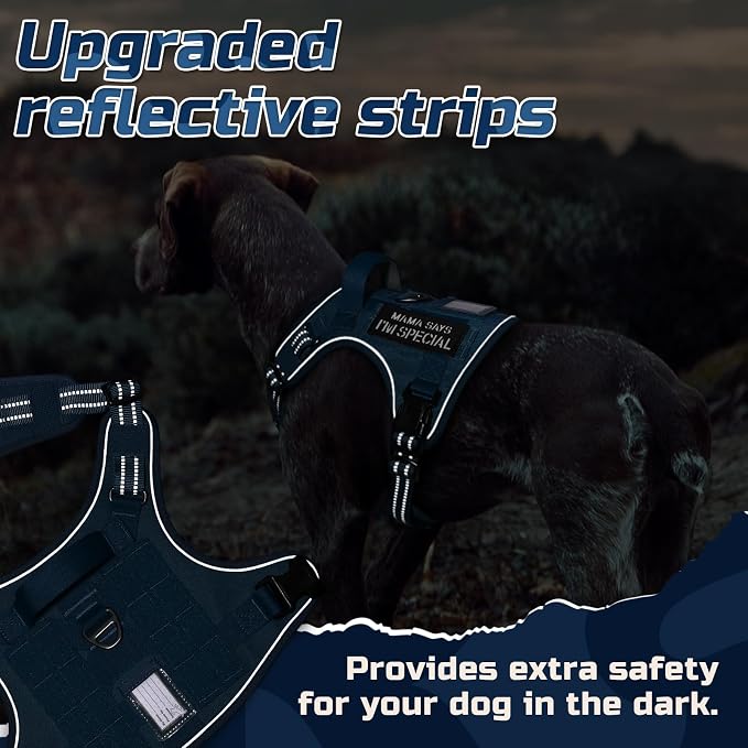 rabbitgoo Tactical Dog Harness for X-Large, No Pull Military Service Vest | Molle & Handle, Heavy Duty, Adjustable, Reflective Straps, Easy Control for Training Walking, Blue, X-Large