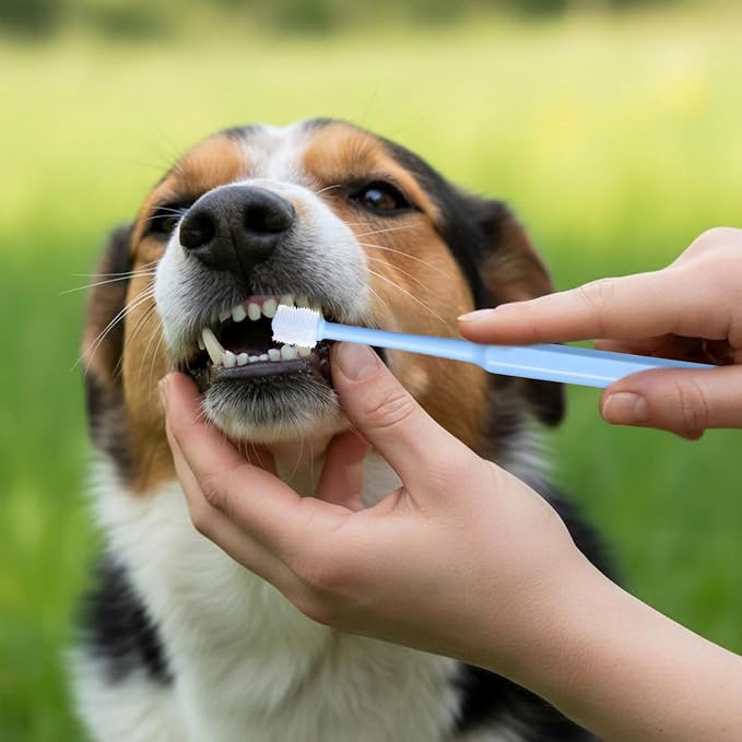 Yuanchu WJIAAA Small Cat Dog Toothbrush, 3 Pack 360 Degree Soft Silicone Pet Toothbrush Cat Dental Care Dog Oral Hygiene Deep Cleaning Pet Teeth Clean Kit