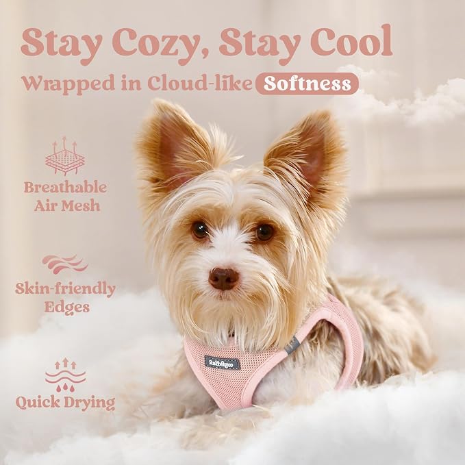 rabbitgoo Step-in Small Dog Harness, Puppy Vest for Small Medium Sized Pet | Easy Put on and off, Lightweight, Soft, Breathable Quick-Dry Air Mesh for Comfortable Secure Walking, Pink XL