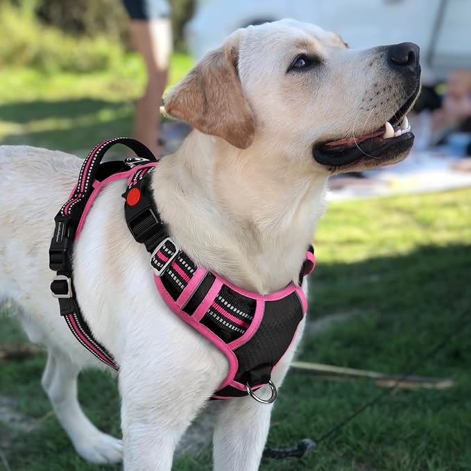 rabbitgoo Dog Harness for Large, No Pull 3 Buckles Easy On & Off | Soft Padded, Walking with Control Handle, Adjustable and Reflective, Black & Pink, Large