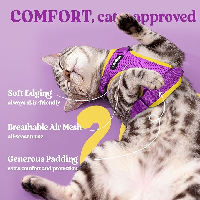 rabbitgoo Cat Harness and Leash Set, Escape Proof Vest, Purple & Yellow | Soft Breathable Mesh, Easy Adjustable Fit, Snap Buckles, Sturdy Clip, Reflective Strips, for Average Cats Walks, S
