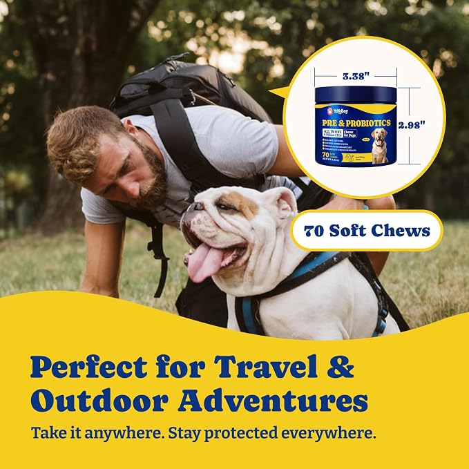 Probiotics for Dogs, Dog Gut, Immune & Skin Health Support Supplement