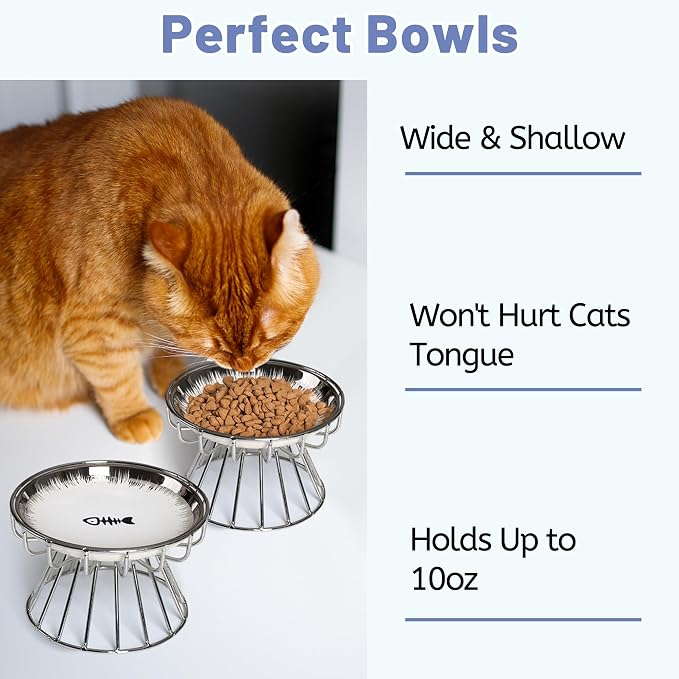 Cat Bowls, Elevated Bowl, Raised Ceramic Dish with Metal Stand, Pet Water or Food Feeding Station for Indoor Cats, Kitten,Dishwash Safe