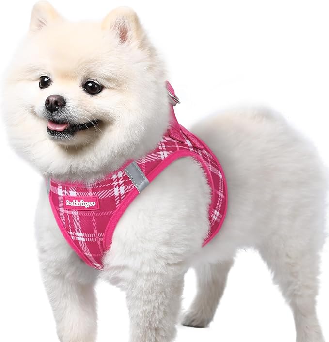 rabbitgoo Step-in Small Dog Harness, Puppy Vest for Small Sized Pet | Easy Put on and off, Lightweight, Soft, Breathable Quick-Dry Air Mesh for Comfortable Secure Walking, Rose Red Plaid S
