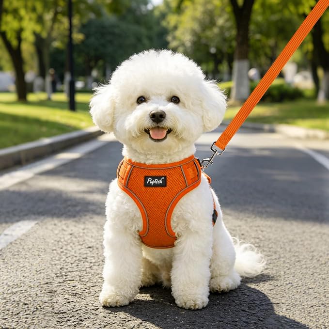 PUPTECK Dog Harness and Leash Set, No Pull Adjustable Pet Small Dog Harness, Reflective Soft Mesh Pet Vest, for Small Medium Dogs Walking, Orange, M