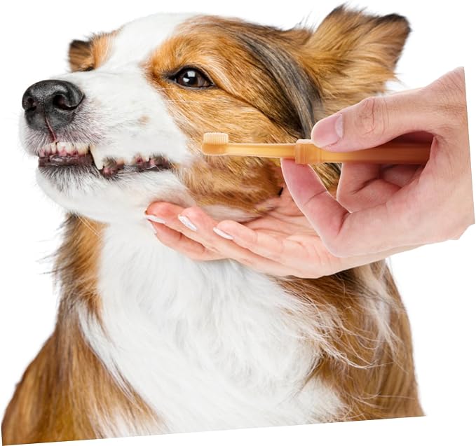 Toyvian Cat and Dog Toothbrush Set Dual Head Silicone Pet Toothbrush for Gentle Cleaning Soft Bristles for Cats and Small Dogs Portable Pet Oral Care Tool