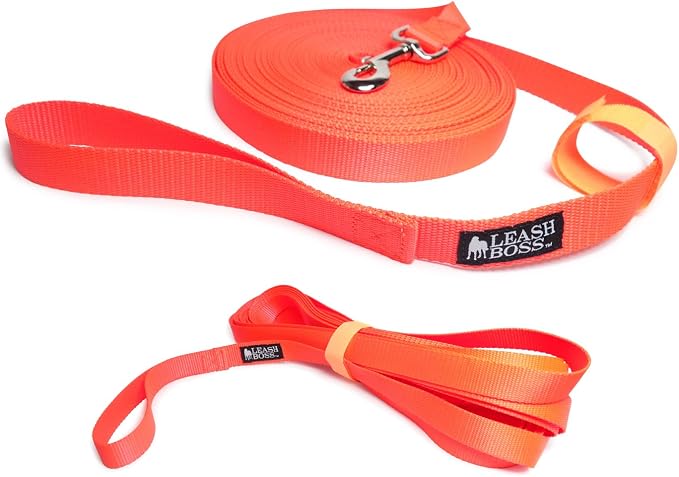 Leash Boss Long Trainer - 1 Inch Nylon Long Dog Training Leash with Storage Strap (30 Ft, Orange)