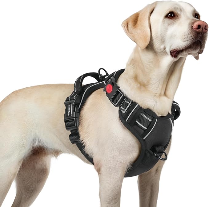 rabbitgoo Dog Harness for Large, Updated Easy On & Off with 3 Buckles | No Pull No Choke, Walking with 2 Clips and Handle, Adjustable Soft Reflective, Black, Large