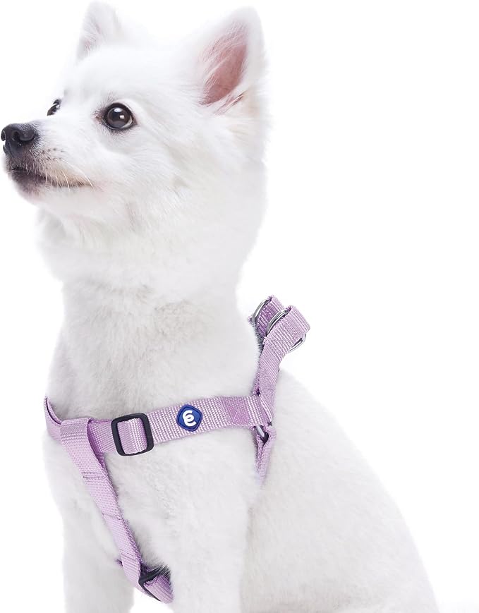 Blueberry Pet Essentials Classic Durable Solid Nylon Step-in Dog Harness, Chest Girth 16.5" - 21.5", Lavender, Small, Adjustable Harnesses for Puppy Boy Girl Dogs