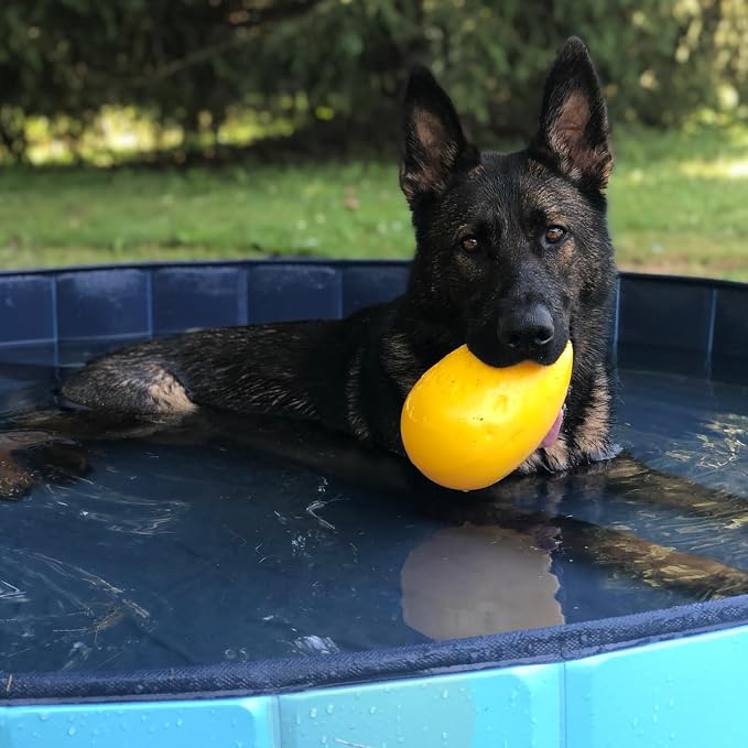 Jolly Pets Jolly Egg Herding Dog Toy, 8 in, Yellow - Erratic Roll | Egg-shaped herding ball for dogs that rolls unpredictably to trigger chase instincts, floats, and is made in the USA
