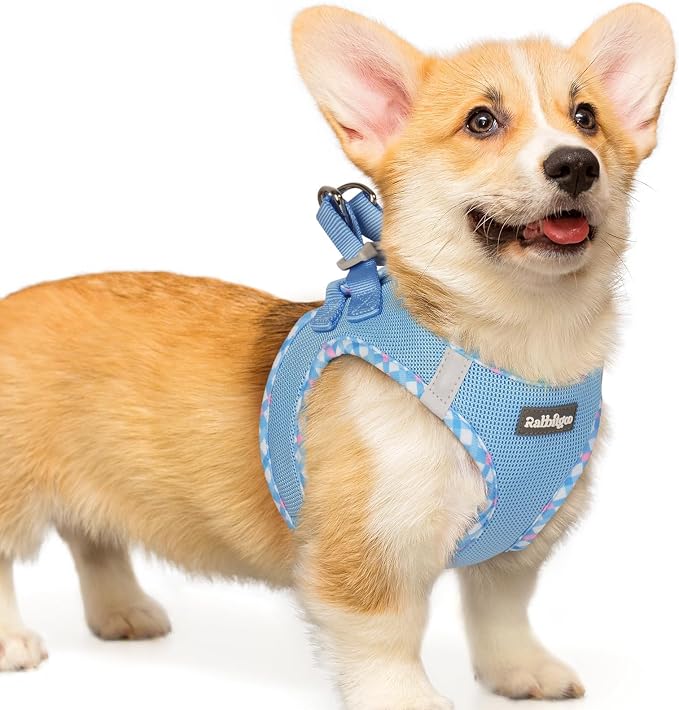 rabbitgoo Step-in Small Dog Harness, Puppy Vest for Small Medium Sized Pet | Easy Put on and off, Lightweight, Soft, Breathable Quick-Dry Air Mesh for Comfortable Secure Walking, Blue & Plaid Trim L