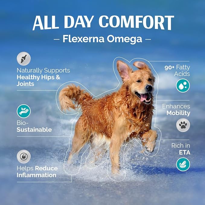 for Dogs - Vet-Formulated Joint Supplement with Green Lipped Mussel, Omega 3s & Hyaluronic Acid for Hip, Joint & Mobility Support - 90 Soft Gel Capsules