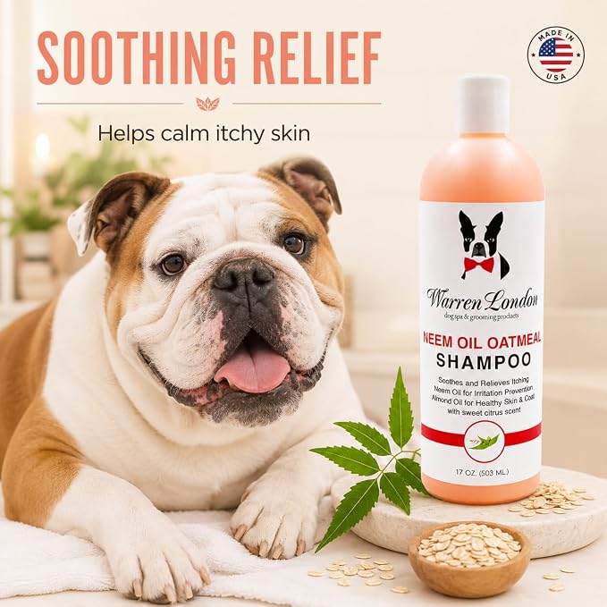 Warren London Neem & Oatmeal Dog Shampoo, 8:1 Concentrate, 1 Gallon