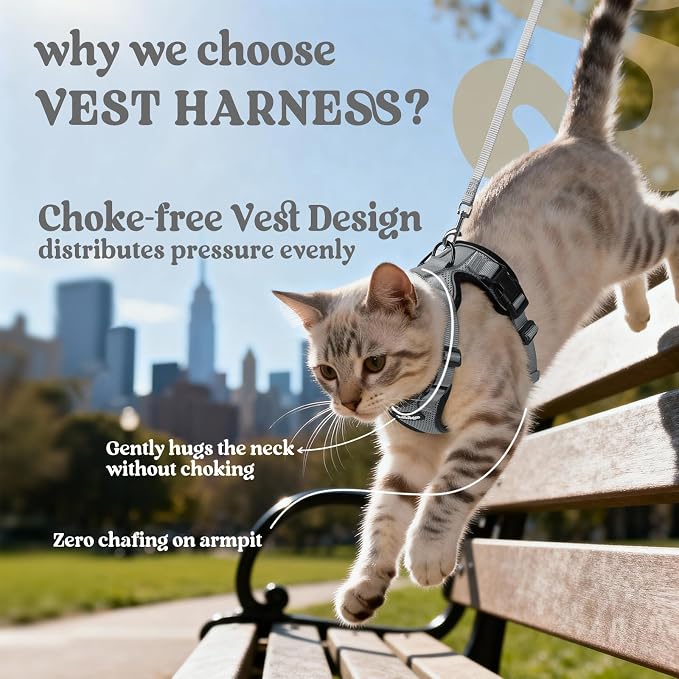 rabbitgoo Cat Harness and Leash Set, Escape Proof Vest, Grey | Soft Breathable Mesh, Easy Adjustable Fit, Snap Buckles, Sturdy Clip, Reflective Strips, for Average Cats Walks, S