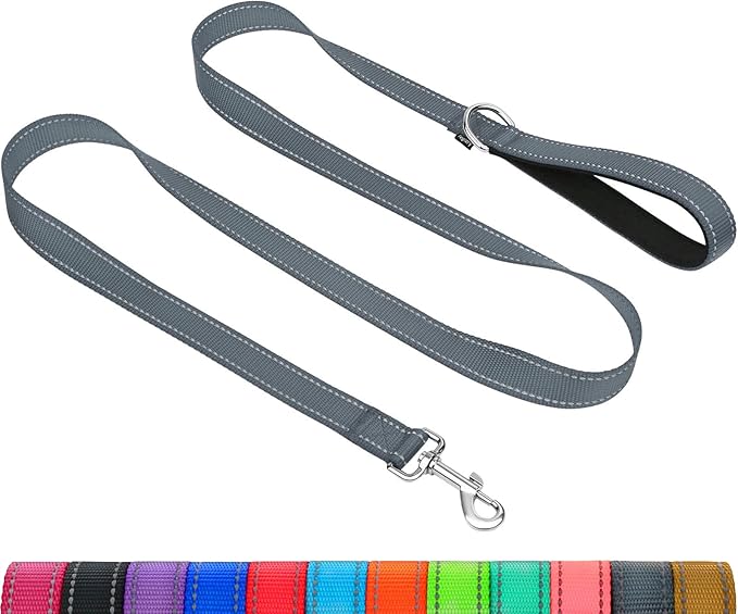 Taglory Reflective Dog Leash for Small Dogs, 3/4in x 6ft, Grey | Ideal for Night Walking, Strong for Sudden Pulls, Lightweight & Gentle on the Neck, Soft Padded Handle