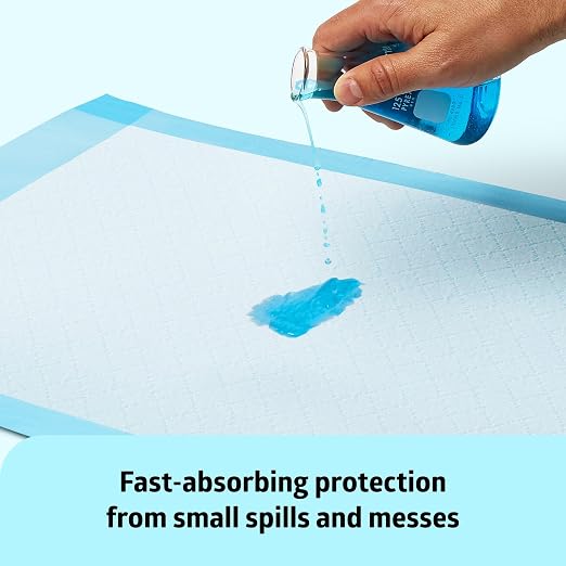 Medline Light Absorbency Underpad, 17" x 24", 300 Count, Disposable Chucks, Bed, Furniture & Surface Protection, For Kids, Adults, Elderly, Puppy Pad, Changing Pad, Incontinence Pee Pad