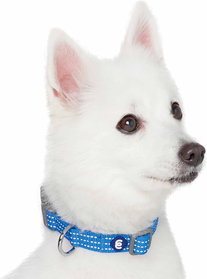 Blueberry Pet Essentials Reflective Better Basics Matching Dog Collar and Leash Set in French Blue, Adjustable Collar with 4 ft Leash for Large Dogs