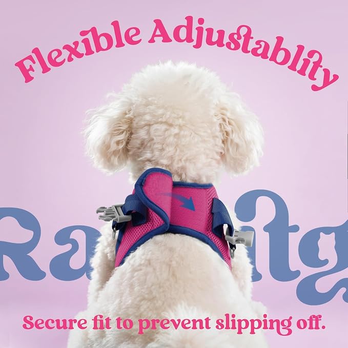 rabbitgoo Dog Harness Small Sized and Leash Set, Step in Soft Vest | Breathable Mesh, Easy Wear with Hook & Loop, Light and Reflective for Walking, Multi-colored, Rose Red & Navy Blue, XS