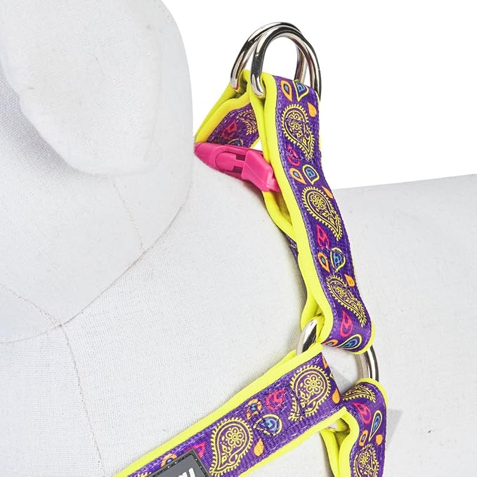 Blueberry Pet 5 Colors Soft & Comfy Step-in Paisley Flower Print Dog Harness, Chest Girth 20" - 26", Dark Orchid, Medium, Adjustable Harnesses for Dogs