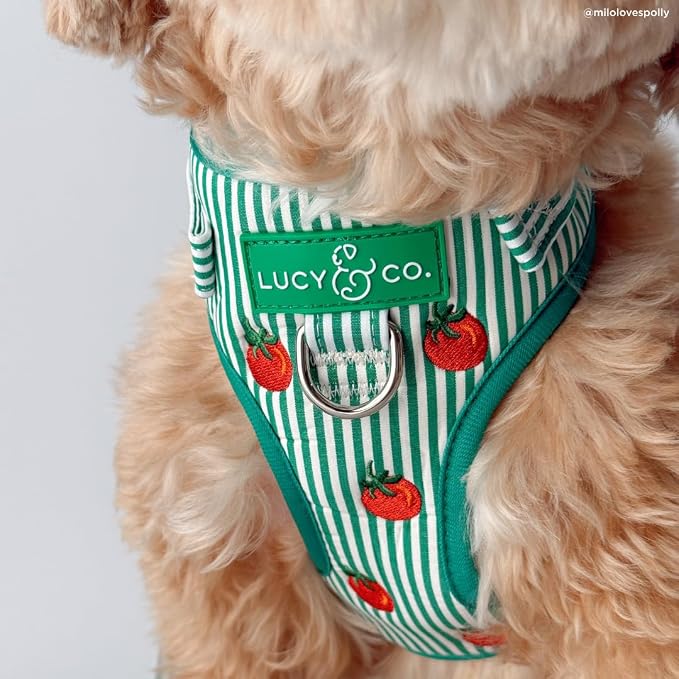 Lucy & Co. Tomato, Tomahto Embroidered No-Pull Dog Harness, Adjustable Front Clip Harness with Garden Design, X-Small